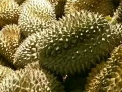 -大润发(鹤山店)