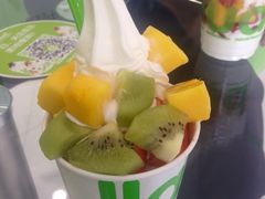 -Salud撒露欧洲冻酸奶(北苑上品店)