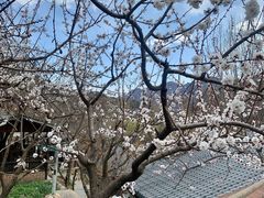 -北京水岸山吧度假村(雁栖镇店)