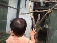 -上方山森林动物世界