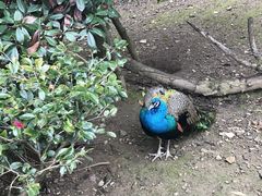 -黔灵山公园-南门售票处