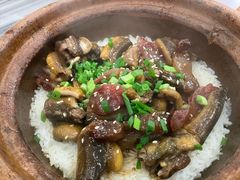 -红星光发煲仔饭(大石街店)