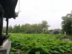 -高子水居