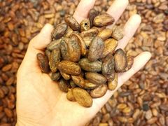 -歌斐颂巧克力小镇