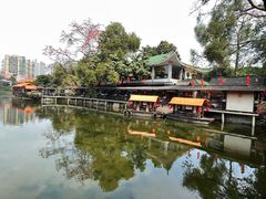 -侨美·唐荔园·40年地道粤菜