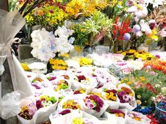 -朝来春花卉市场