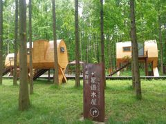 -黄海国家森林公园