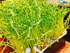 -捞王锅物料理(上海世茂广场店)