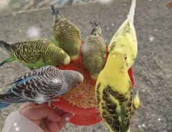 -萌宠亲子动物乐园(槐房万达店)