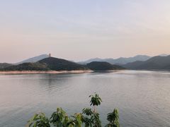 -望湖烤鱼