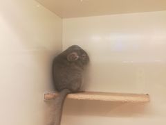 -龙猫仔乐园(惠福东路店)