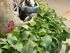 -冰川冷面·延边菜·炭烤串(观前店)