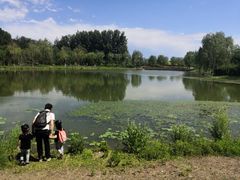 -东郊湿地公园