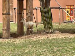 -祥源·阜阳生态乐园