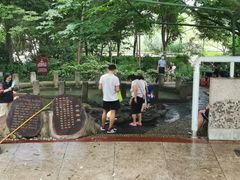-成都市活水公园