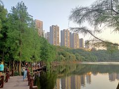 -重庆彩云湖湿地公园