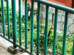 -黔灵山公园