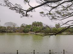 -江心屿景区