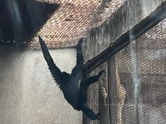 -昆明动物园