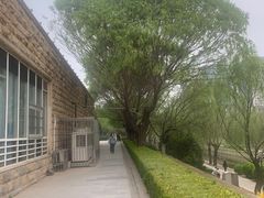 -元大都城垣遗址公园