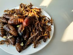 -万顺啤酒屋(皇寺路店)