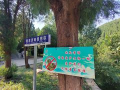 -四门塔风景区
