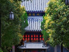 -秋霞圃