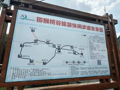 -大岭沟猕猴桃谷风景区