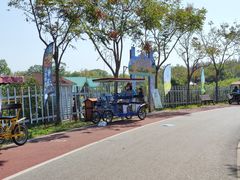 -上海长兴岛郊野公园