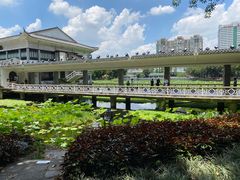 -荔湾湖公园