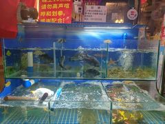 -牟记江湖重庆地标特色菜鱼蛋海鲜羊蝎子(巴南区黑金冠十多年好店)