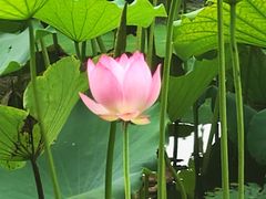 -滴水岩森林公园