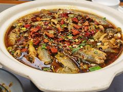 情妹耙泥鳅-情妹耙泥鳅·江湖川菜(科华店)