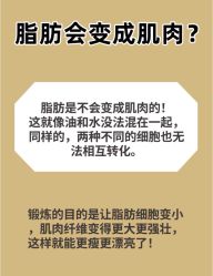 -Fundi张玉珊修身堂·indiba·BTL科技瘦身