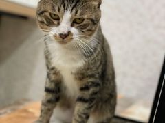 -玉椰林甜品店(创始店)