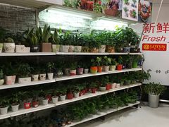 -卜蜂莲花(杨高南路店)