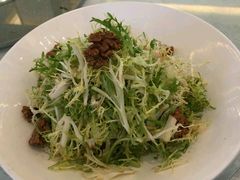 桃仁拌苦菊-品悦酒店(三林古镇店)