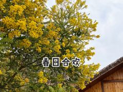 -黄龙溪欢乐田园