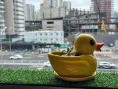 -小吊梨汤·北京菜·烤鸭(双井乐成中心店)