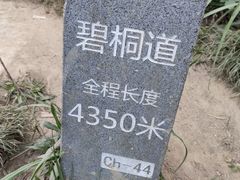 -梧桐山风景名胜区