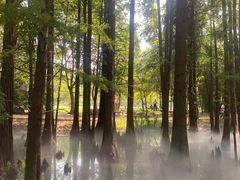 -东湖落雁景区