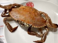 -大锅强·蒸海鲜青岛菜(金沙滩店)