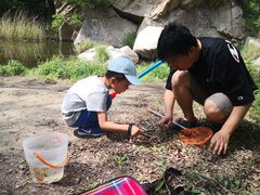 -碓臼峪自然风景区