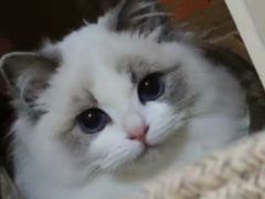 -Tims天好咖啡·贝果(星展店)