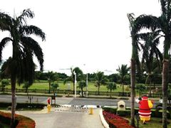 -三亚亚龙湾金棕榈度假酒店