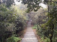 -西湖风景区十里琅珰-五云山