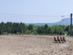 -函谷关历史文化旅游区