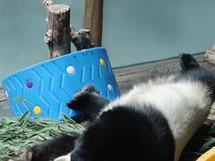 -青藏高原野生动物园