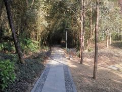 -燕子岭公园