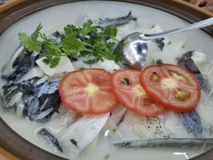 -全乐鱼馆·淳牌有机鱼直营店